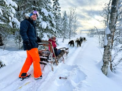 Selbstfahrer-Hundeschlittentour in Fauske bei Bodø