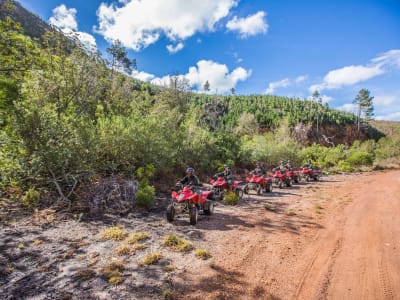 Quad Biking through the forests and fields of Caledon near Hermanus