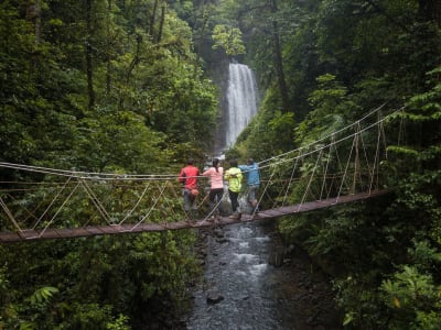 Senderismo a las cataratas de El Tigre en el Bosque Nuboso de Monteverde
