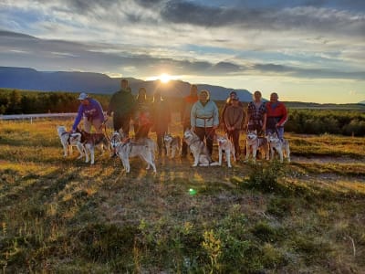 Excursión a pie con huskies en Eyjafjörður con salida de Akureyri