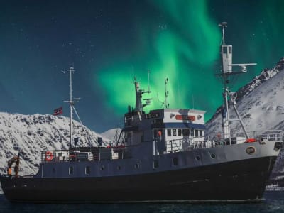 Croisière aux aurores boréales à Tromsø