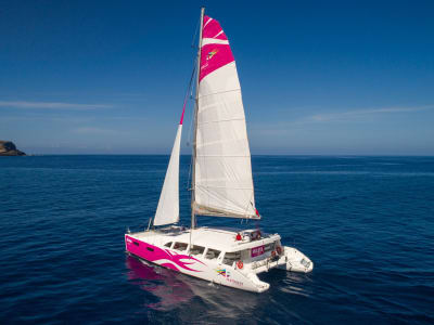 Morning Catamaran Cruise in Réunion Island, departing from Le Port