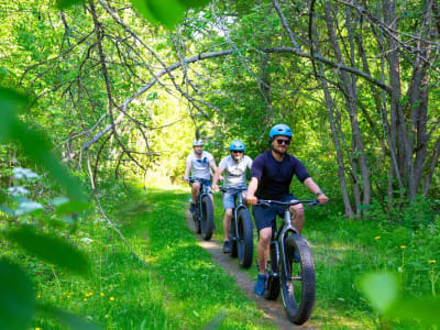 Fat Biking Tour von Nallikari in Oulu