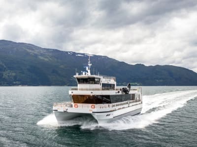 Guided Boat Cruise to Beiarfjord & Saltstraumen from Bodø