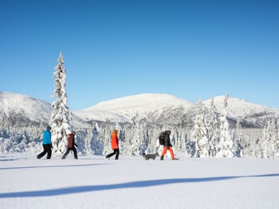 Snowshoeing Excursion from Bakvattnet to Ansättenfjäll