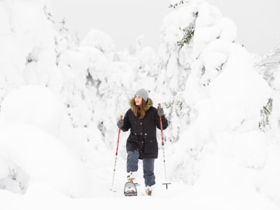 Raquettes dans la forêt du parc national de Pyhä-Luosto