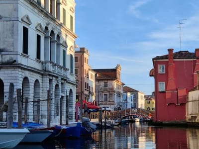 Boat Tour around the Venetian Lagoon from Chioggia, Venice