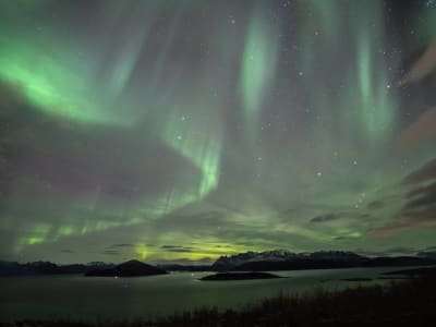 Nordlichtjagd und Sternguckerei von Skjervøy aus