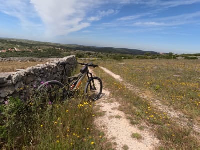 E-Bike-Tour durch das Fórnea-Tal in Alvados, Porto de Mós 