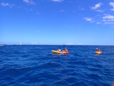Location de kayak de mer à la Réunion au départ de Saint-Gilles
