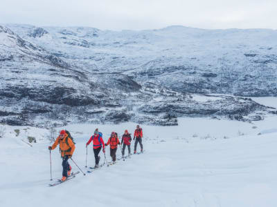 Guided Alpine Ski Touring in Hardanger