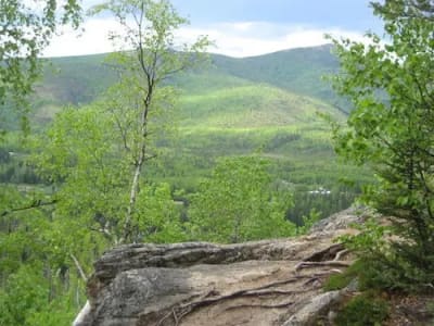 Guided hiking tour of Table Top Mountain, departing from Fairbanks, Alaska