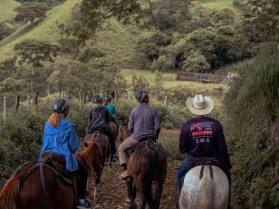 Panorama-Reiten in den Monteverde-Bergen, Guacanaste
