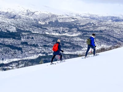 Randonnée guidée en raquettes à Voss