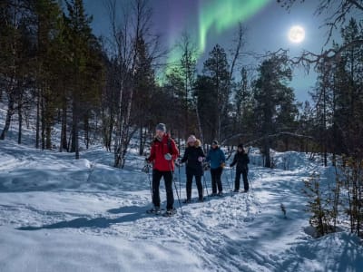 Northern Lights Snowshoe Adventure in Alta
