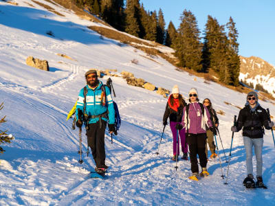 Snowshoeing and Chamois Watching in the Giffre Valley near Samoëns