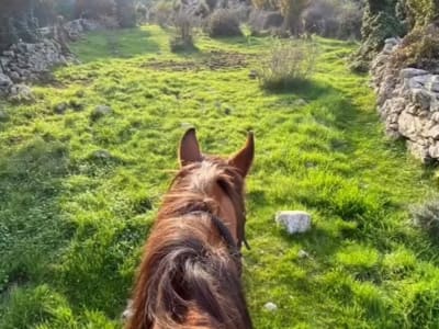 Reiten in Olmi-Cappella bei Île-Rousse, Korsika