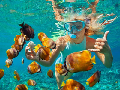 Excursion matinale de plongée en apnée au cratère de Molokini à Maui, au départ de Maalaea