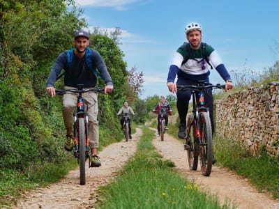 Excursion en E-Biking avec dégustation de produits istriens à partir de Vodnjan près de Pula
