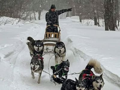 Excursion en chiens de traîneau à Québec, Pourvoirie du Lac-Beauport