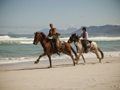 Horseback Riding on the Beaches of the Walker Bay Nature Reserve near Hermanus