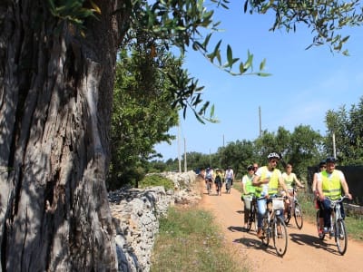 Recorrido guiado en bicicleta eléctrica de Polignano a Conversano, cerca de Bari, Apulia