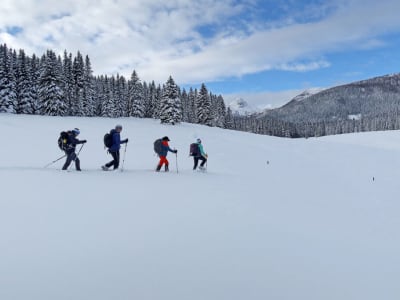 Excursión privada con raquetas de nieve en el Parque Nacional de Triglav desde Mojstrana