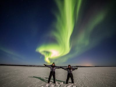 Reindeer, Husky, and Northern Lights Experience in Rovaniemi