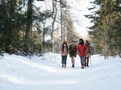 Randonnée hivernale dans la vallée de Stubai près d'Innsbruck, Tyrol