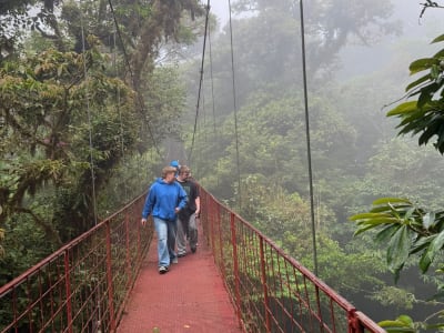 Senderismo guiado en el Bosque Nuboso de Monteverde cerca de Puntarenas