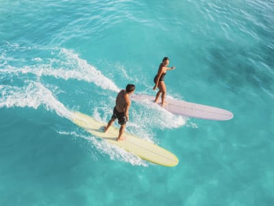 Cours de surf au Helleux à Sainte-Anne, Guadeloupe