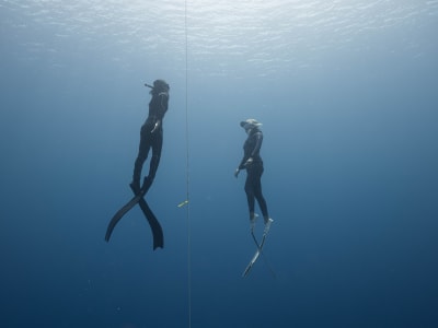 Discover Freediving in Los Cristianos, Tenerife