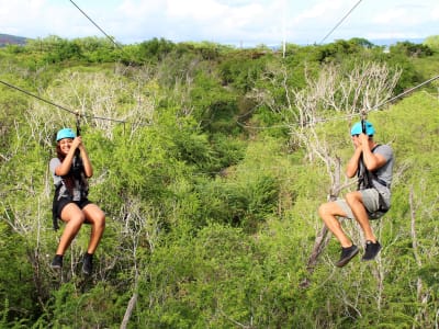 Excursions en tyrolienne au-dessus de la jungle d'Oahu à Kapolei