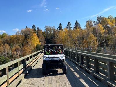 Private Electric Buggy Excursion at Baie des Ha! Ha! in Saguenay