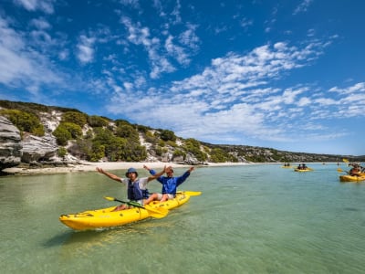 Excursión guiada en kayak de mar por el Parque Nacional de la Costa Oeste desde Langebaan