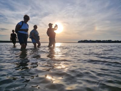 Guided Crossing of the Baie de Somme from Le Crotoy