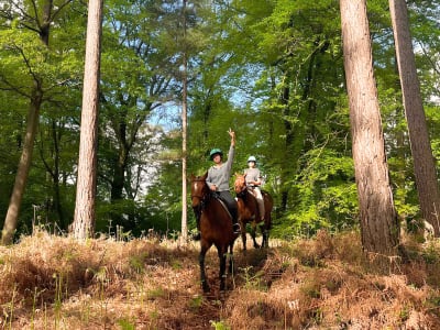 Horse riding in the Chantilly forest near Paris