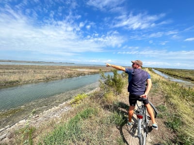 Paseo en bicicleta y observación de flamencos en Lio Piccolo, Venecia