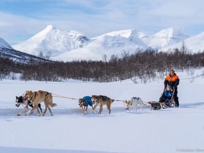 Randonnée en traîneau à chiens avec visite du parc des dômes de glace et des rennes depuis Tromsø