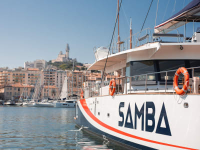Crucero en catamarán por el Parque Nacional de las Calanques desde Marsella con brunch