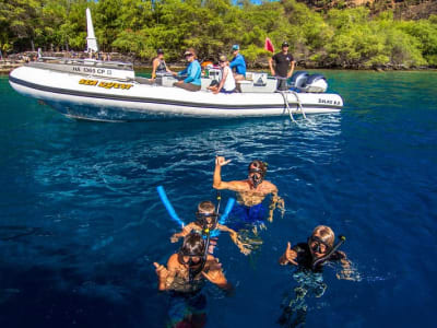 Excursión guiada de snorkel al monumento del Capitán Garfio en la bahía de Kealakekua desde Kona