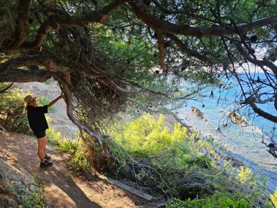 Guided Coastal Hike on Cap Sicié from Toulon