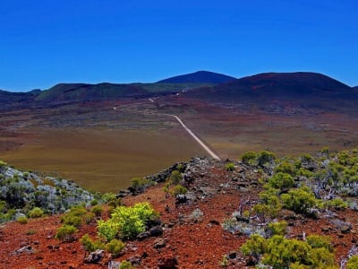 Journée de visite guidée autour du Piton de la Fournaise avec petit-déjeuner 