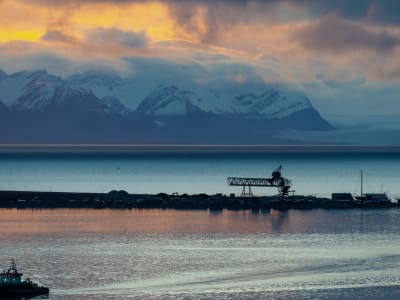 Guided Hike from Longyearbyen to Platåfjellet