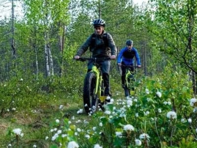 Randonnée en fat bike électrique à Banff