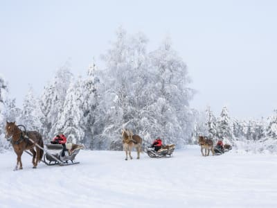 3 km de promenade en traîneau près du village du Père Noël à Rovaniemi