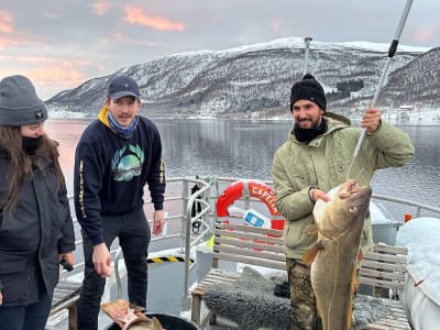 Polar Fishing Excursion from Tromsø
