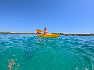 Excursion en kayak de mer sur une île oubliée du parc national de Brijuni, près de Pula