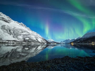 Excursion aux aurores boréales dans l'Arctique au départ de Tromsø
