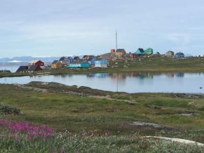 Village Boat Tour to Oqaatsut from Ilulissat in Greenland